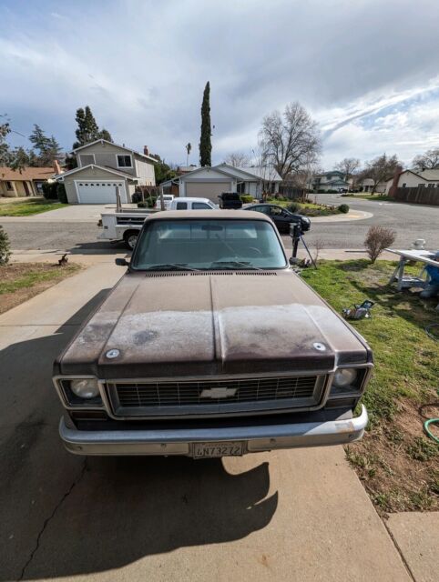 1974 chevrolet c-10 pickup brown rwd automatic custom deluxe