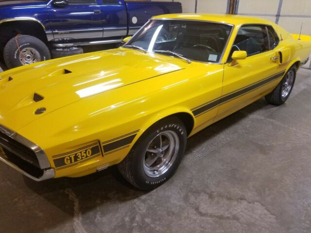 1969 shelby gt350 hertz