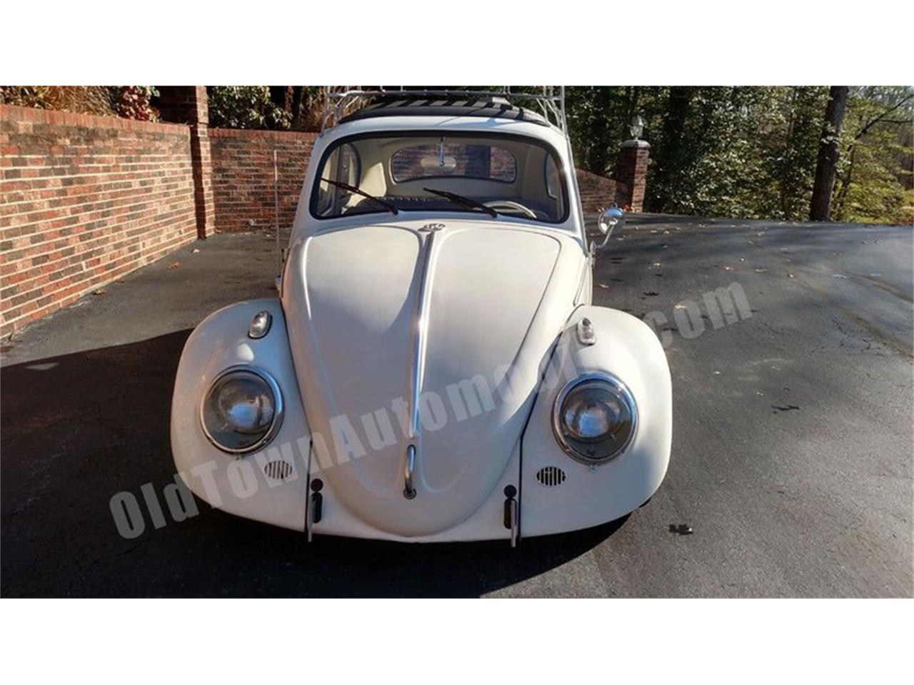 1959 volkswagen beetle