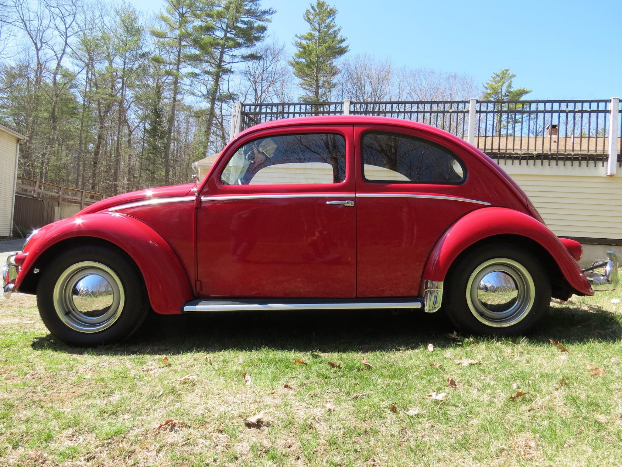 1956 volkswagen beetle