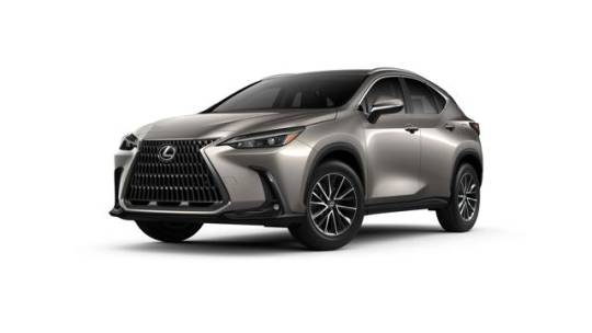 2025 Lexus NX