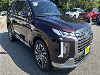 2024 Hyundai Palisade calligraphy