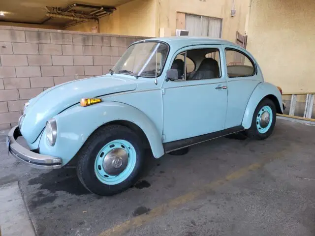 vw beetle classic bug