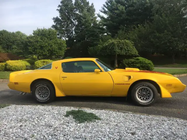 1979 pontiac trans am 6.6l **very well documented** original car low reserve