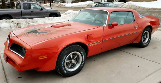 1977 trans am survivor