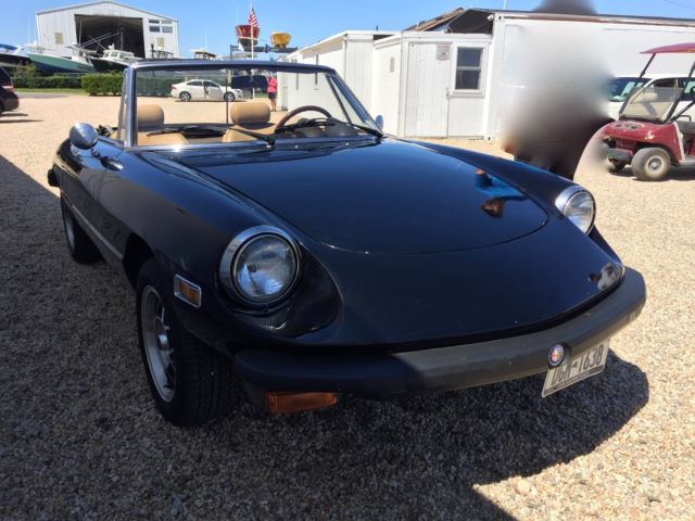 alfa romeo spider 39,000 miles