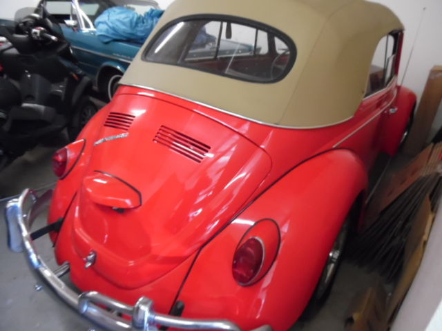 67 vw bug convertible