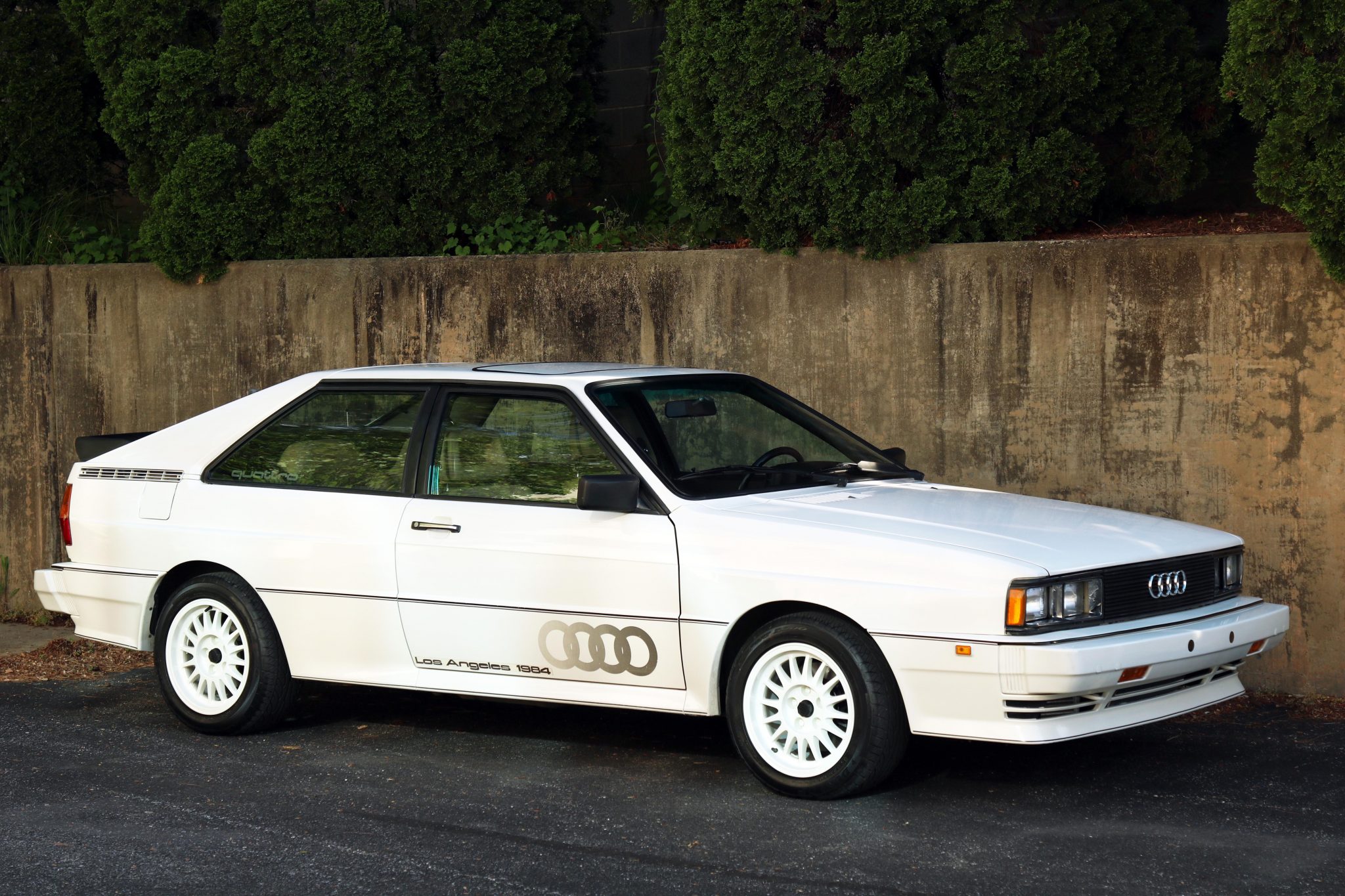 1984 audi quattro