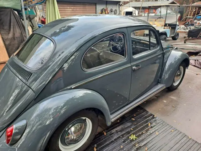 1962 volkswagen beetle - classic, bug, type 1