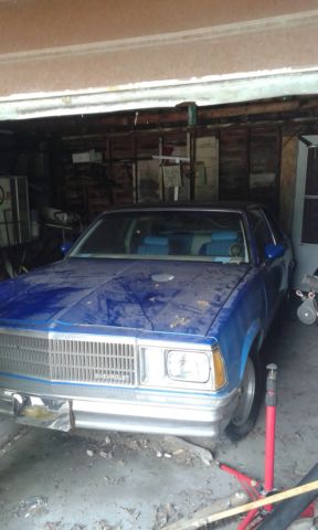 1981 chevrolet malibu (race car)