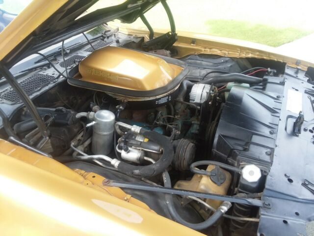 1979 trans am ws 6