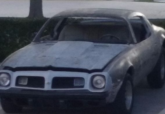 1975 pontiac firebird for sale in florida by owner
