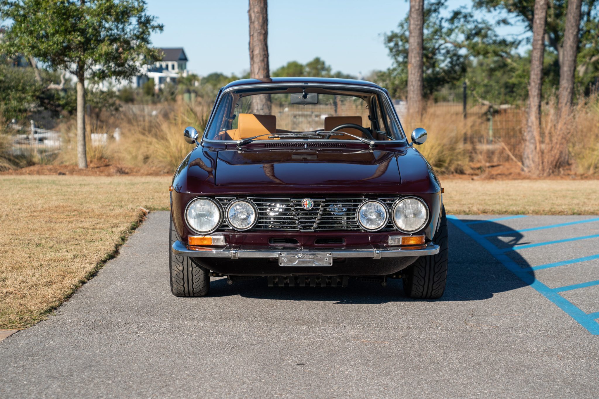 1973 alfa romeo gtv 2000