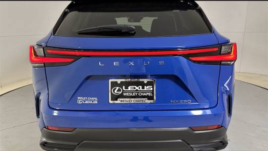 2025 Lexus NX