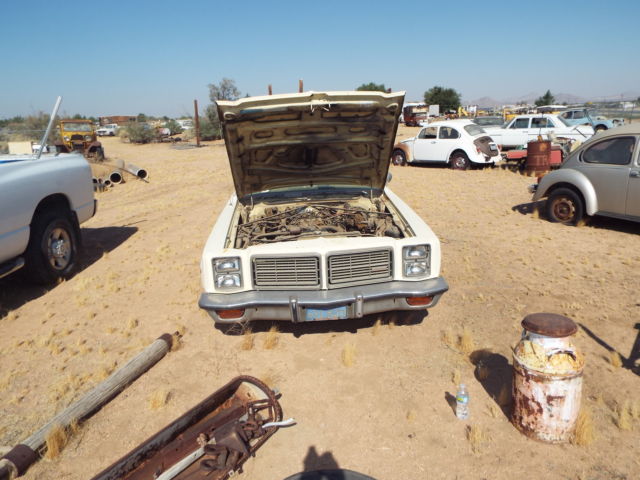 1977 wagon