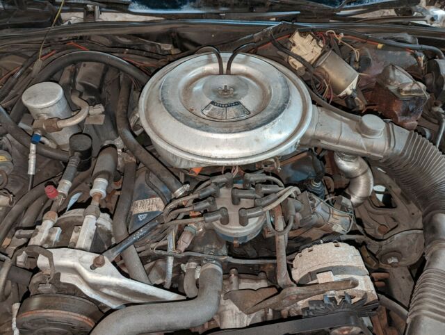 1981 lincoln mark vi base 5.0l