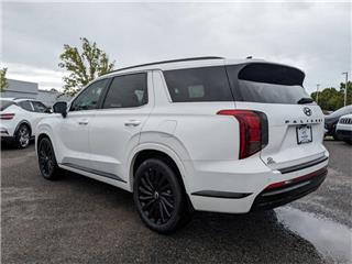 2025 Hyundai Palisade calligraphy night edition