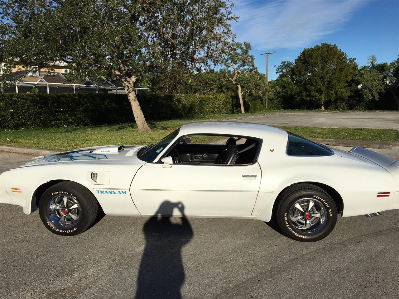 1976 pontiac firebird trans am