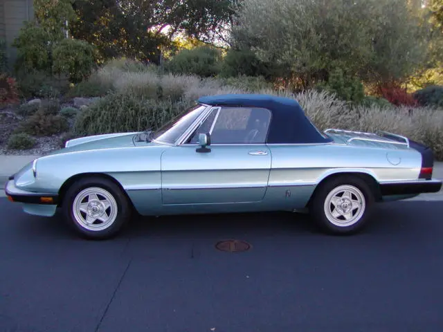 1984 alfa romeo spider veloce rare color no reserve