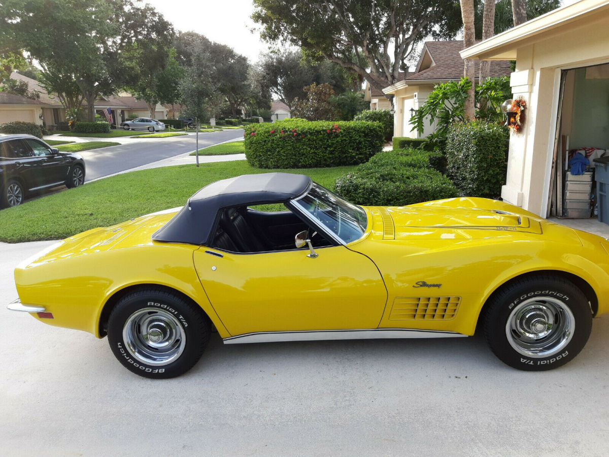 rare low production model lt1