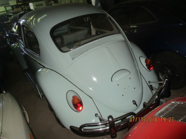 1965 vw beetle stunning