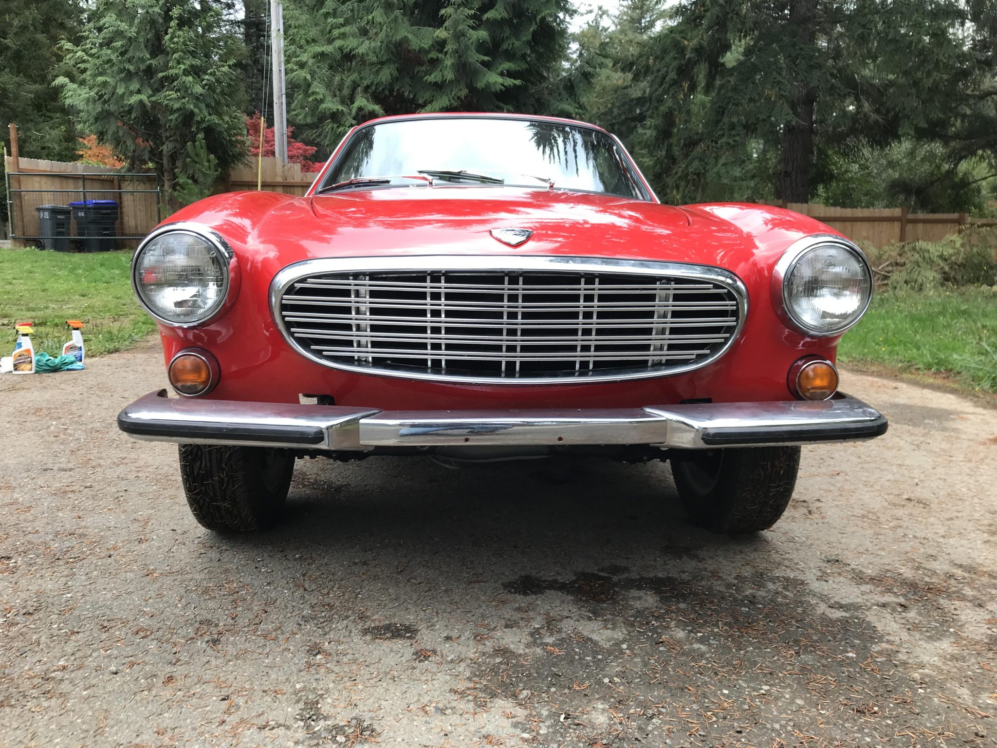 1965 volvo 1800s project