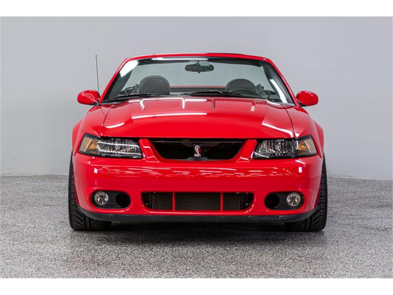 2004 ford mustang