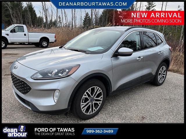 2022 ford escape sel