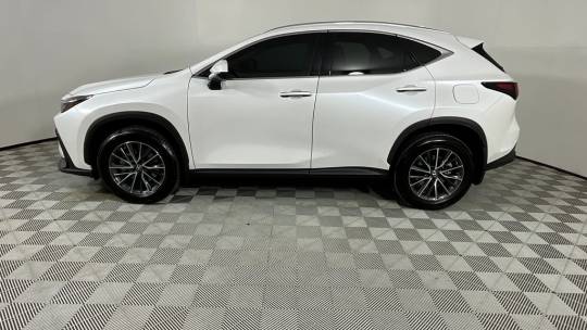 2022 Lexus NX