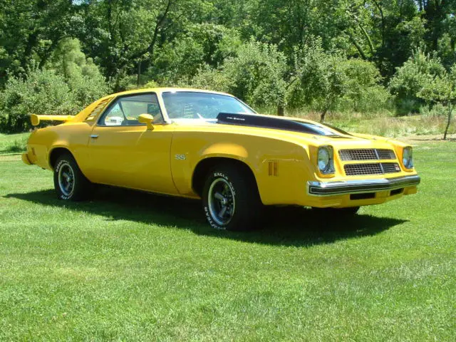 1974 chevelle / laguna s3 custom