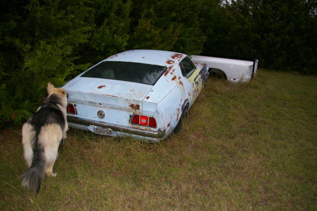1972 ford mustang fastback