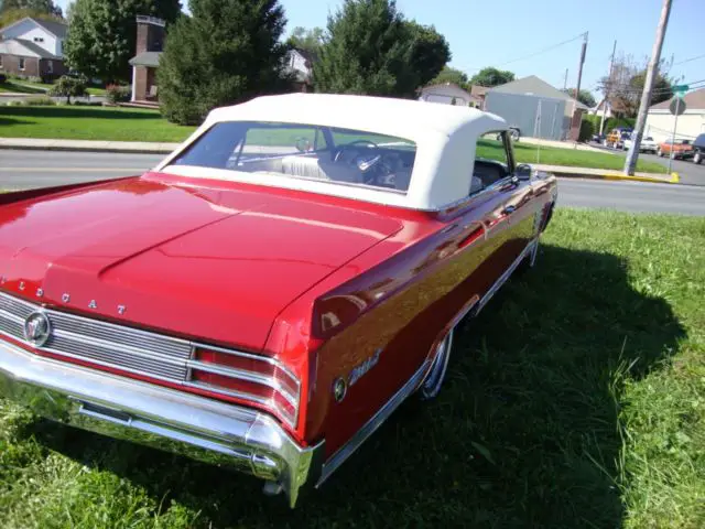 wildcat convertible great color combo