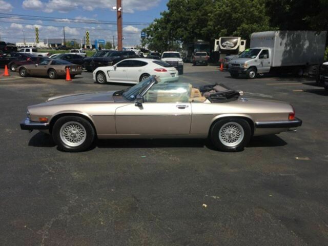 jaguar low miles take a look