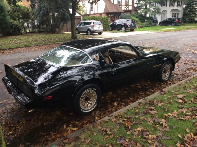 1979 pontiac trans am 6.6l 403 bandit ******no reserve******