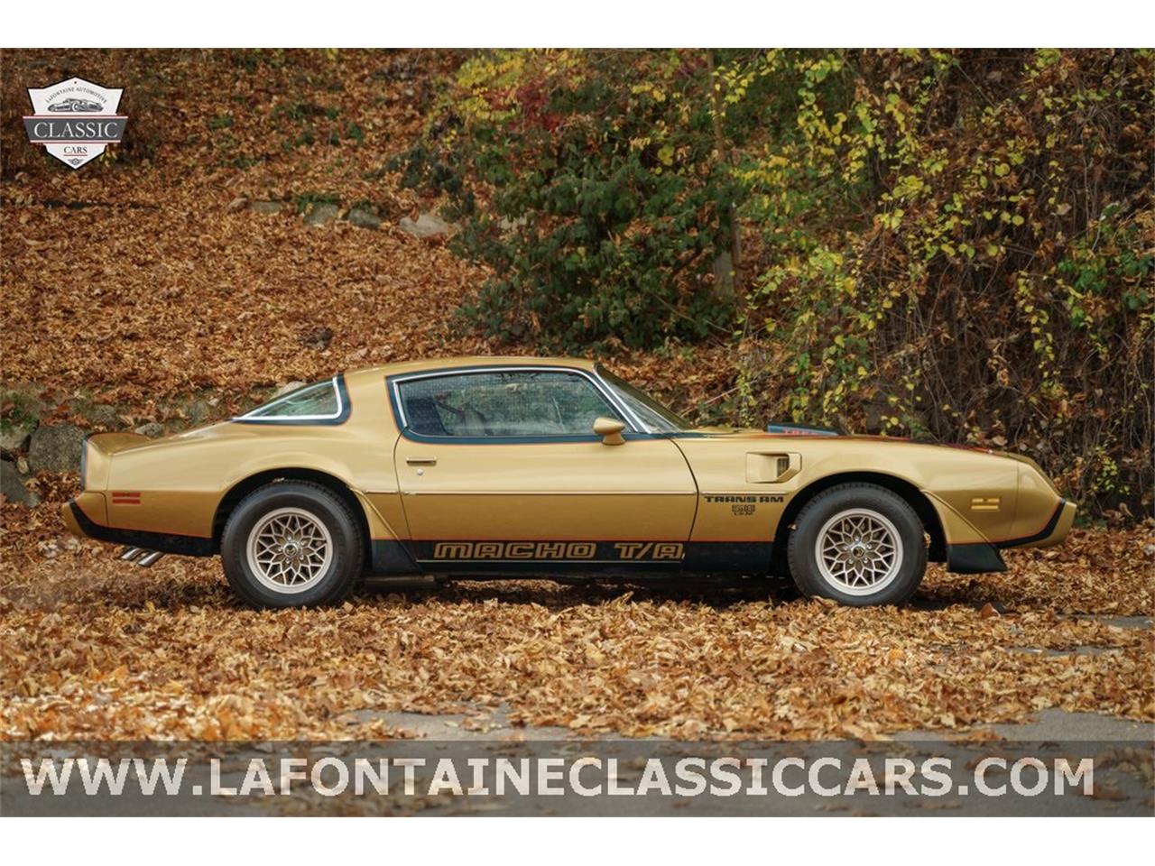 1979 pontiac firebird