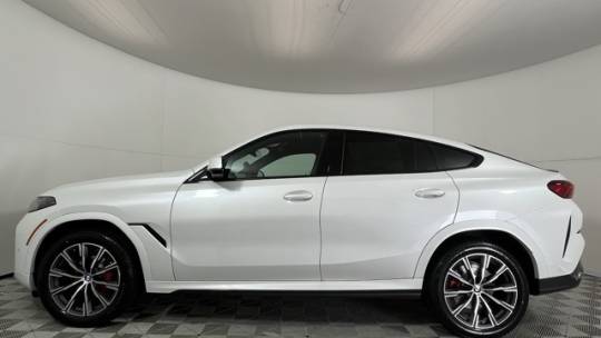 2025 BMW X6