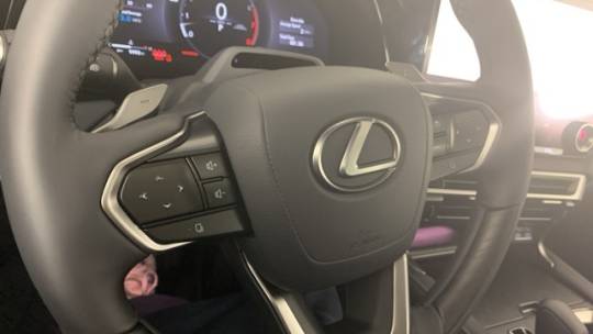 2025 Lexus RX