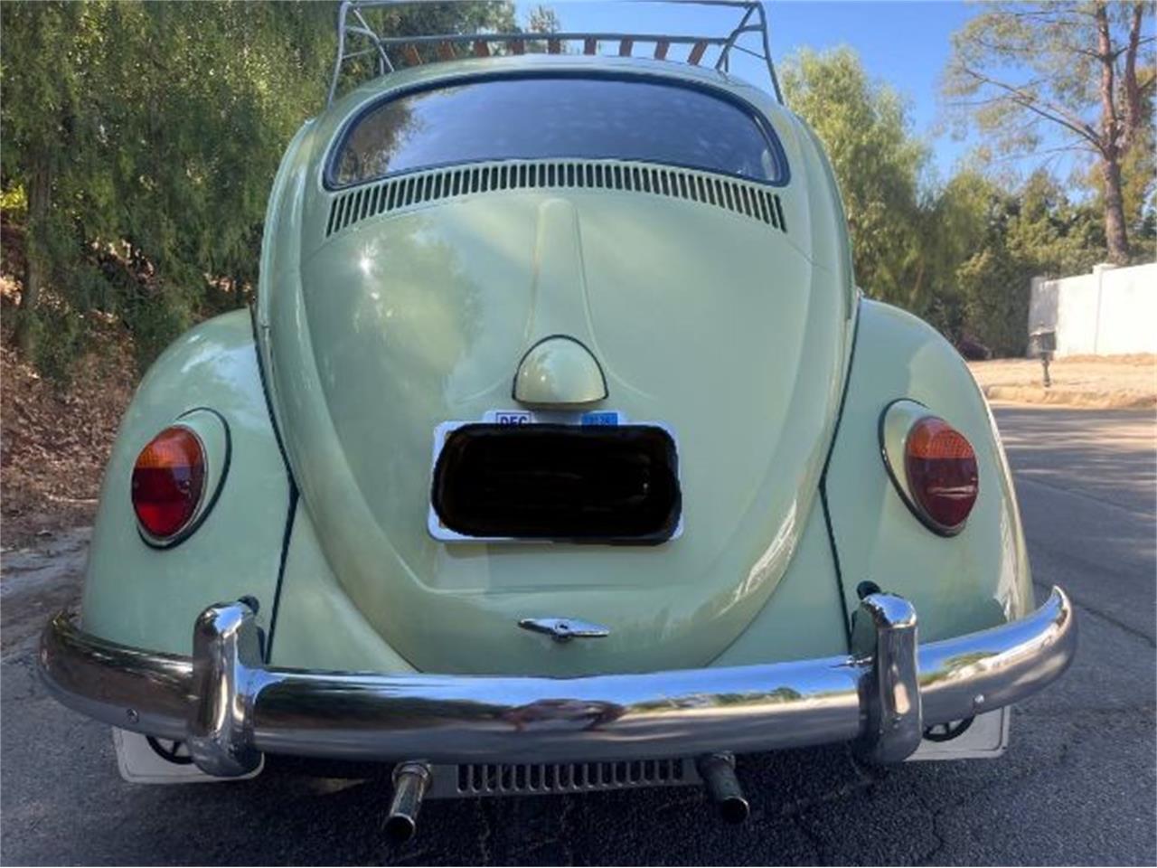 1961 volkswagen beetle