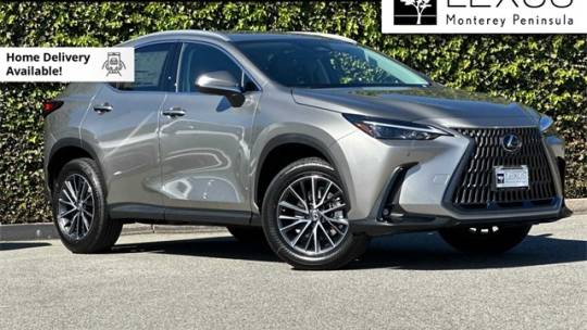 2025 Lexus NX