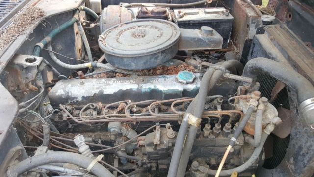 diesel 1978 international scout terra