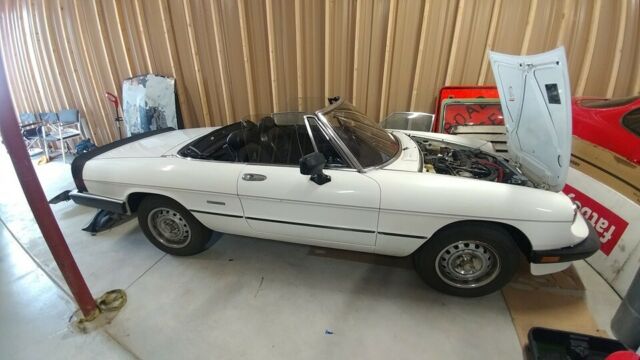 price obo 1986 alfa romeo spider veloce graduate