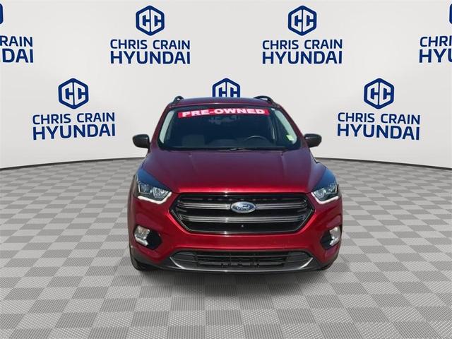 2019 ford escape sel