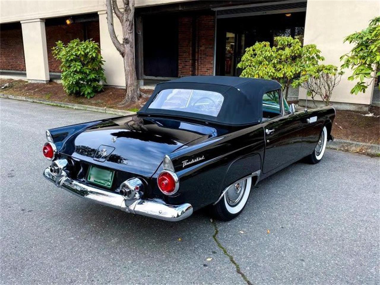 1955 ford thunderbird