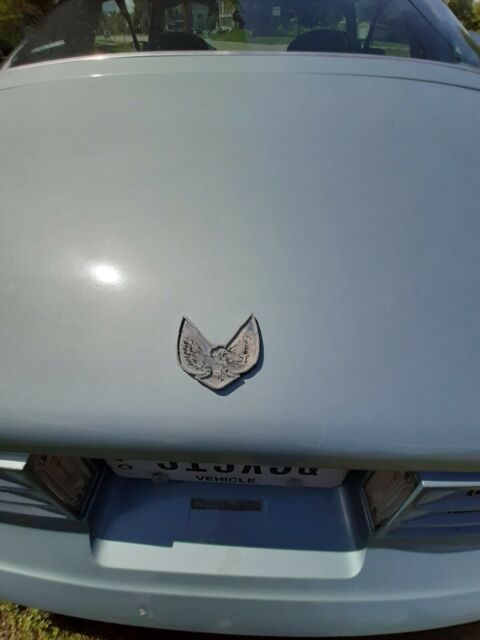 1977 pontiac firebird sport ~ 1 owner only 16,790 miles- original w/ great body