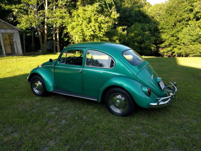 1966 volkswagen beetle 1966 vw bug