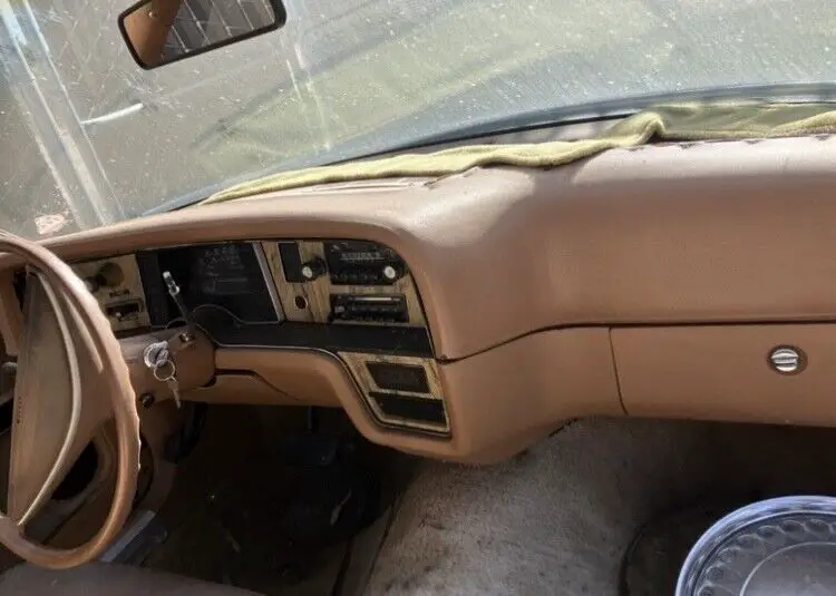 1975 amc pacer brown