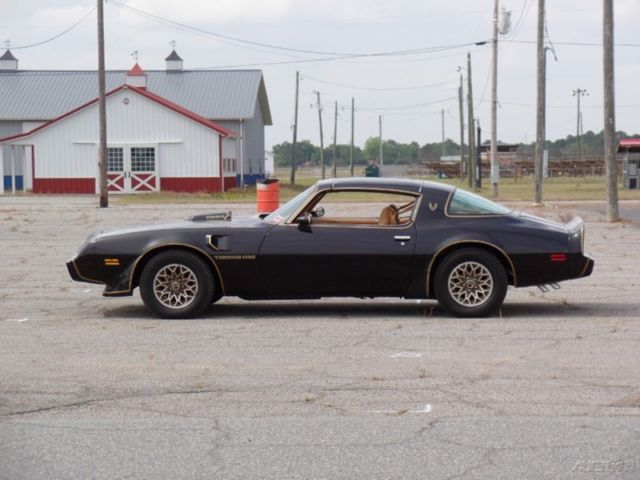 1979 pontiac trans am t tops y84 black and gold 77 78 80 81