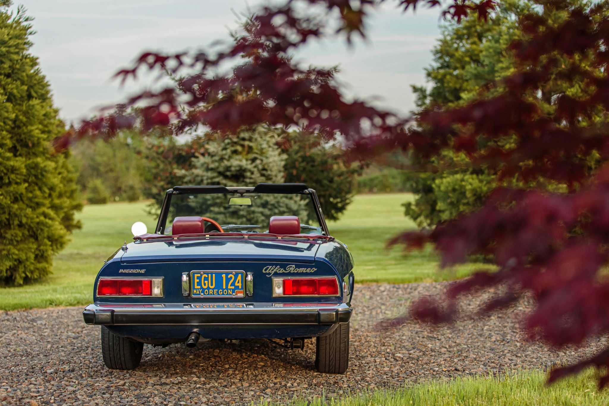 1974 alfa romeo spider