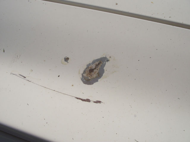 original survivor 75 chrysler cordoba