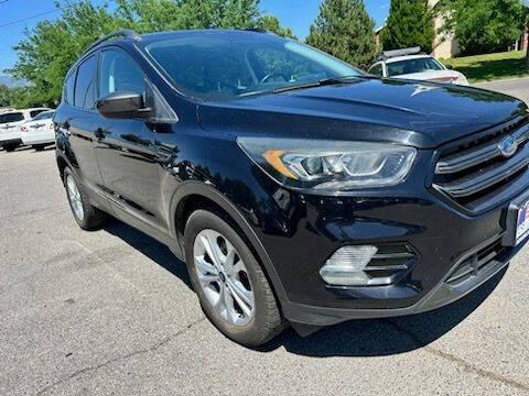2019 ford escape sel